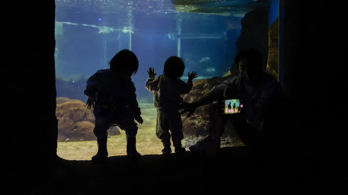 Silhouettes of two small children at an aquarium window while an adult photographs them on a phone